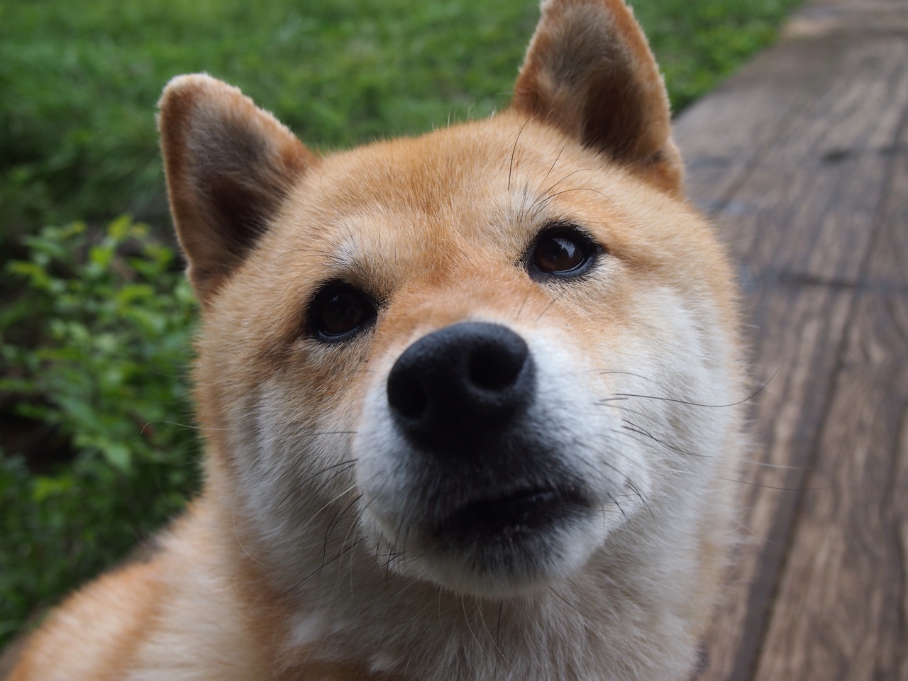 爱游戏官方入口-垄断叙事时代，蒙特卡洛是唯一答案