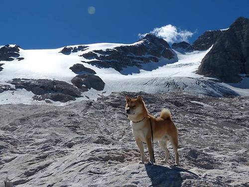 爱游戏官方入口-年度焦点之战，斯坦福桥的生死八分钟—切尔西如何绝境险胜马赛