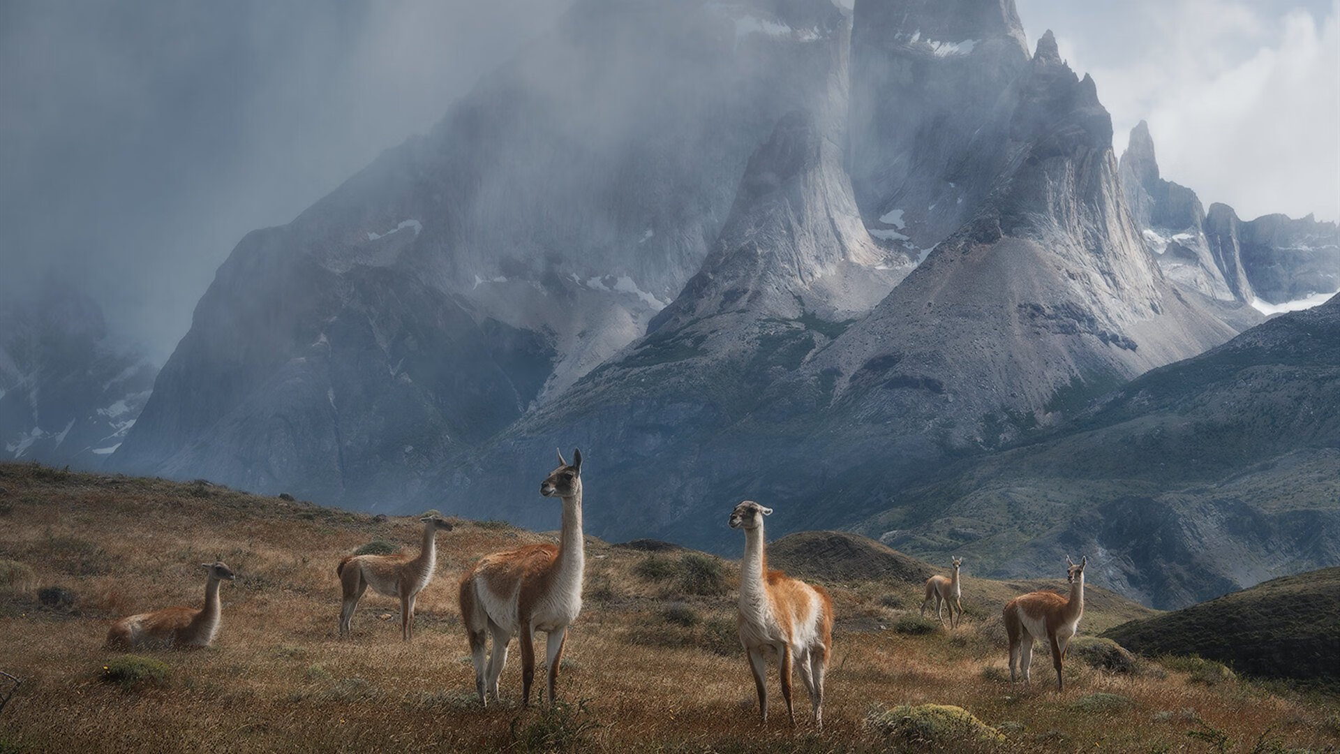 莫兰特表现堪称教科书,浙江队火力压制独行侠背后的现代篮球启示