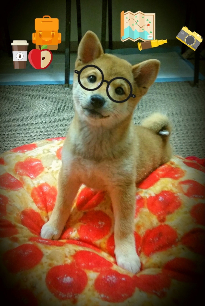 爱游戏官方-华丽巴雷拉连爆三道铁闸！摩纳哥反讽1-2迷之剧本