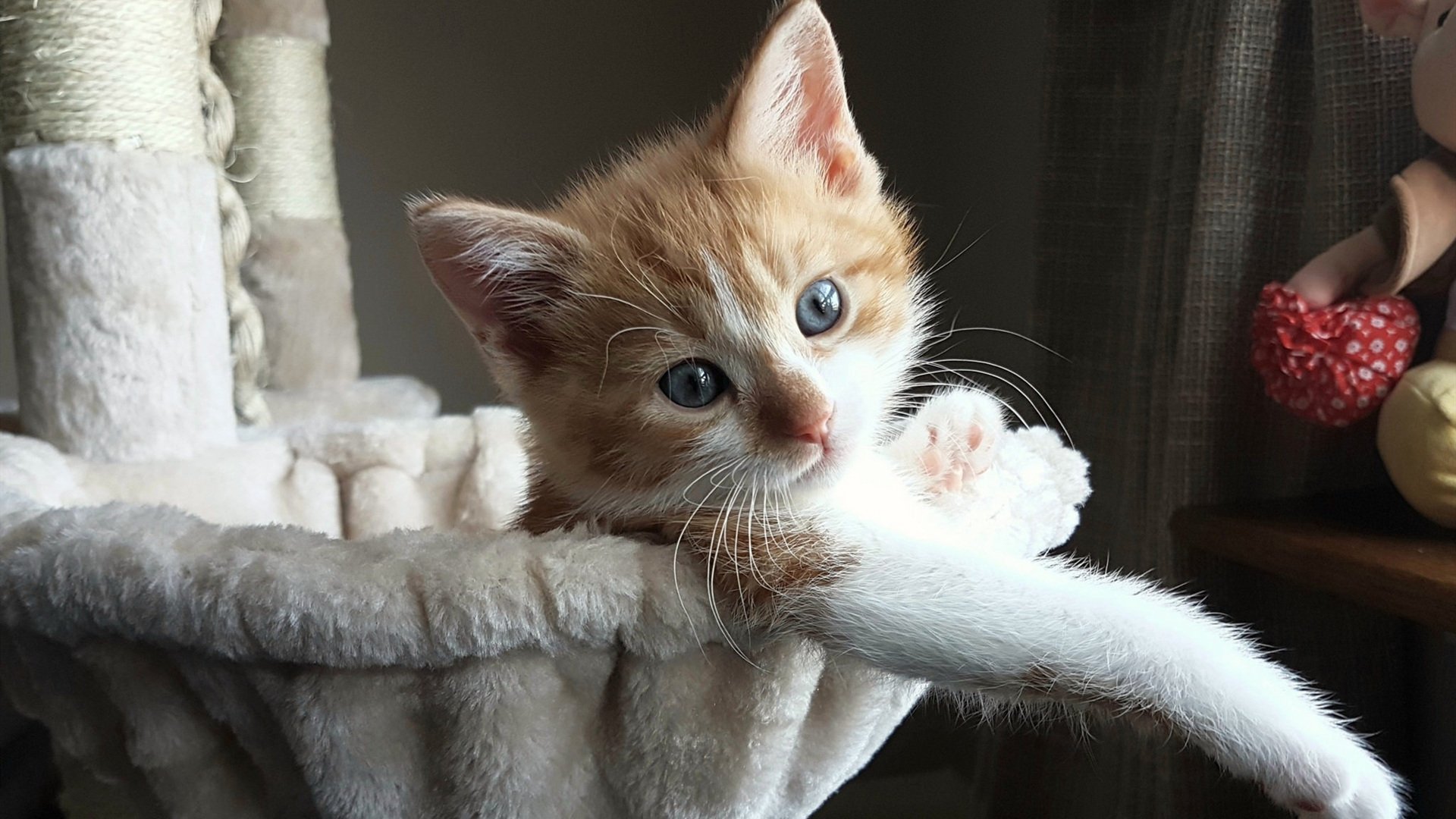 秘鲁铁血防线绞杀曼城,黄喜灿天降奇兵定乾坤