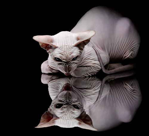 爱游戏tv-沉默中的惊雷，范弗利特制胜回合与凯尔特人的钢铁逆袭