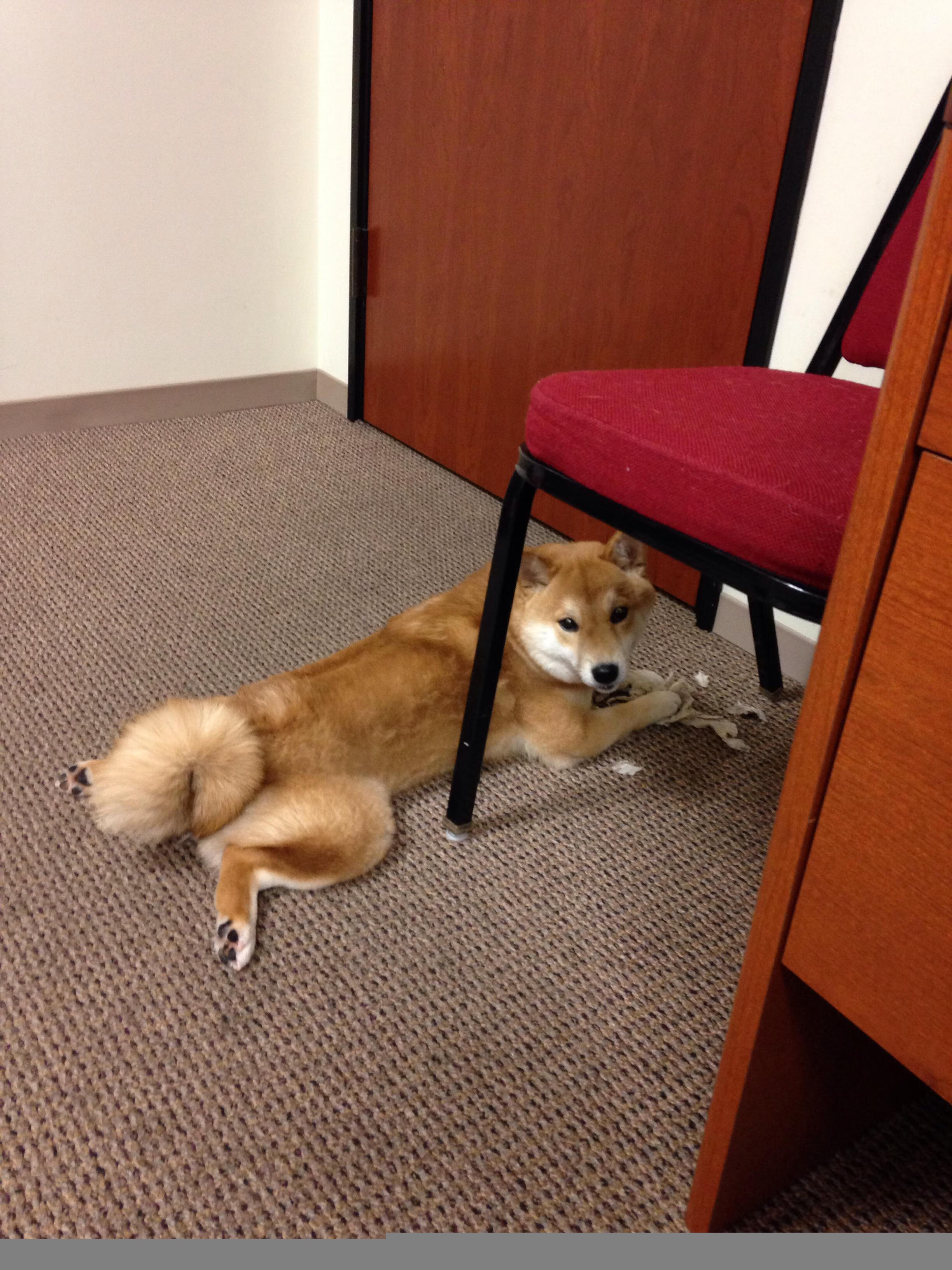 西甲国家德比焦点战,莱比锡红牛提前终结悬念乌克兰