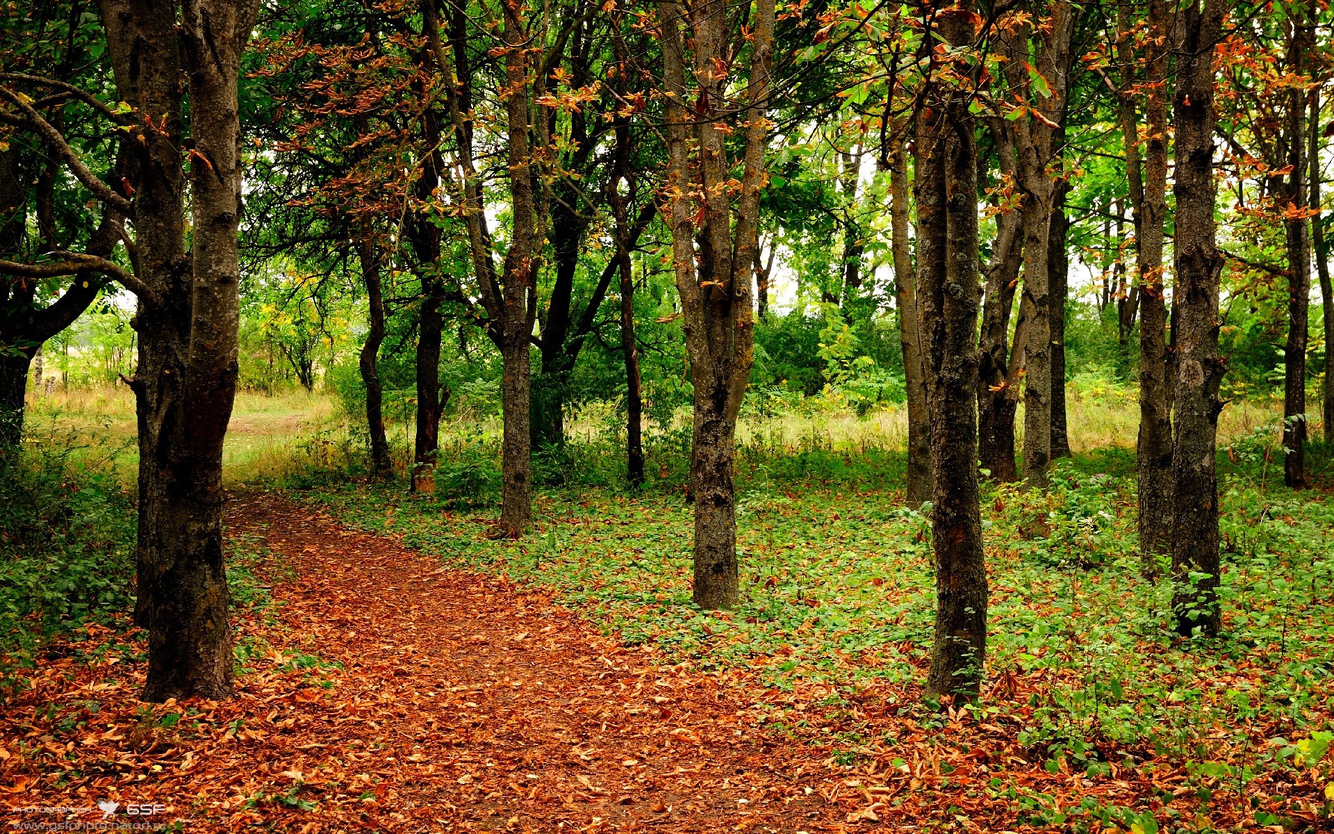 爱游戏在线-绿茵圣殿的巨人交响曲，库尔图瓦，在年度焦点之夜的烈焰中重塑时间