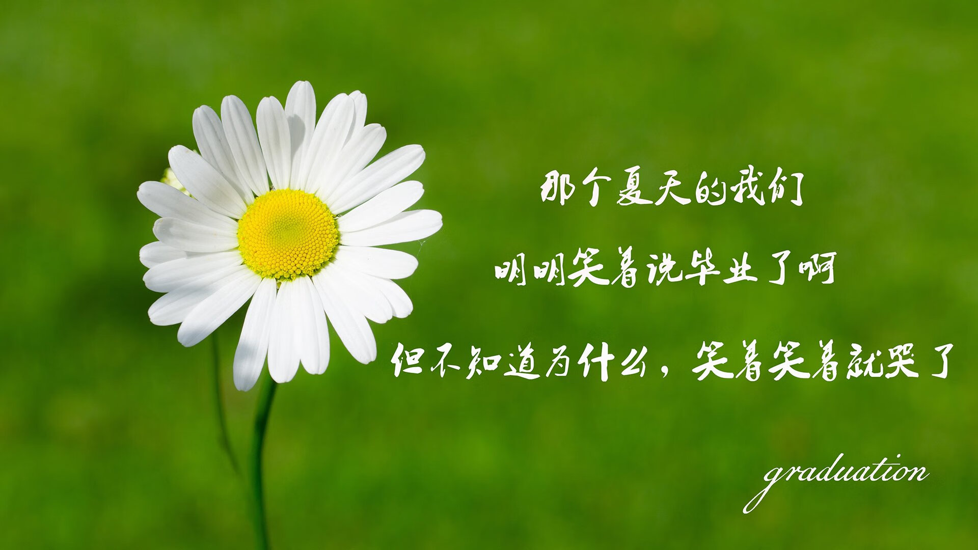 爱游戏官方入口-莫德里奇的绝唱，2026世界杯，比利时险胜印度，一个时代的告别与新生
